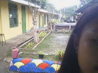 Attendance image